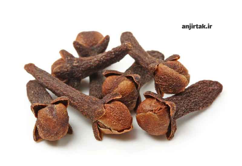میخک چیست؟ میخک، غنچه‌های خشک شده درخت میخک (Syzygium aromaticum)، از دیرباز به عنوان ادویه‌ای محبوب در آشپزی و طب سنتی مورد استفاده قرار گرفته است. این ادویه معطر نه تنها طعم و عطری منحصر به فرد به غذاها می‌بخشد، بلکه دارای خواص دارویی متعددی نیز می‌باشد. در این مقاله به بررسی جامع خواص میخک، از جم ...